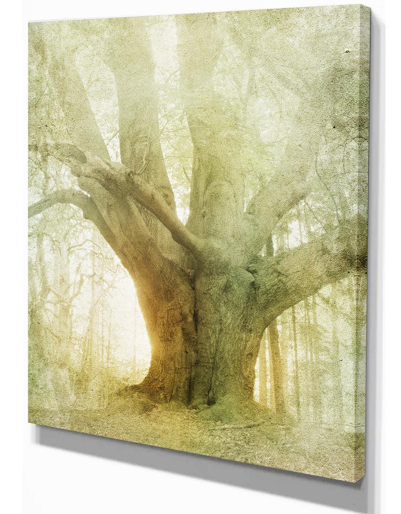 Designq Vintage Forest - Landscapes Photography On Wrapped Canvas