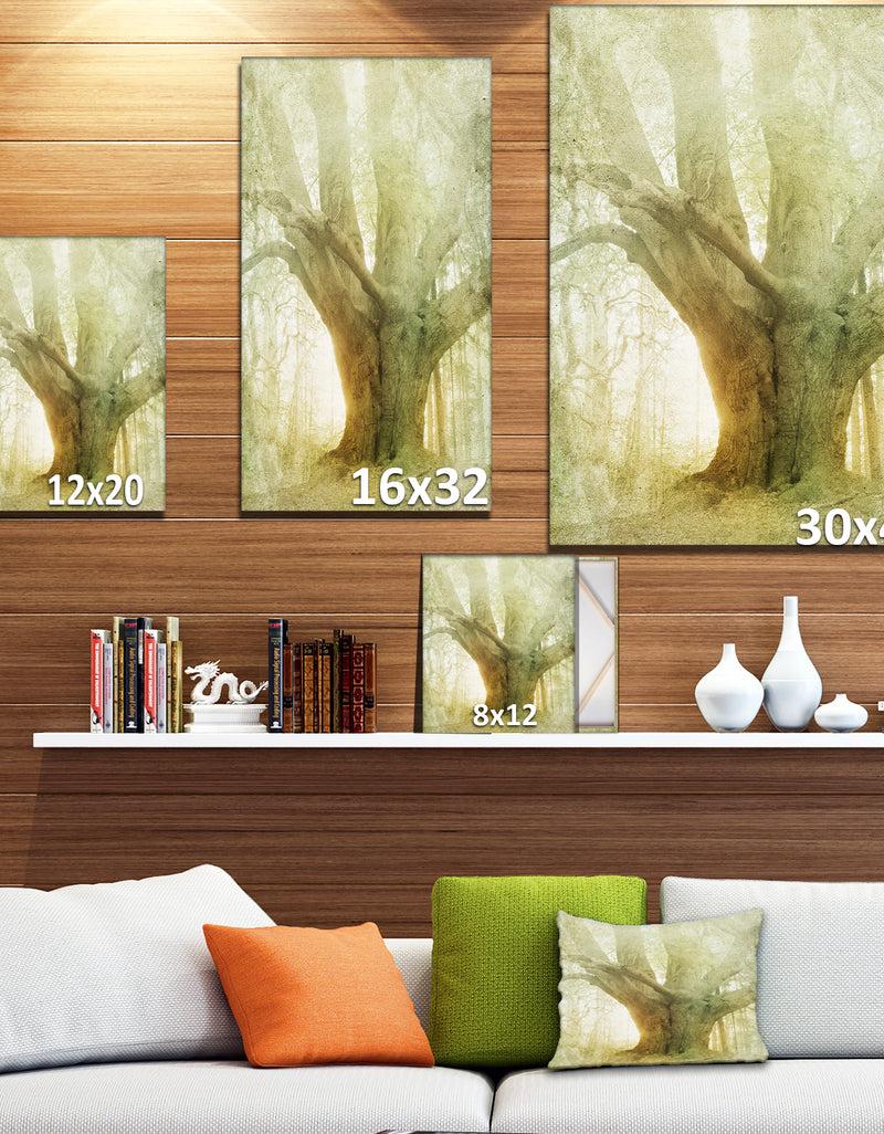 Designq Vintage Forest - Landscapes Photography On Wrapped Canvas