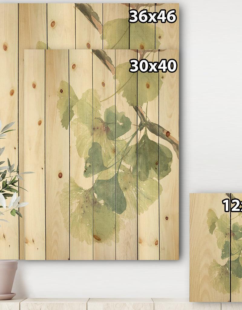 Designq Watercolor Gingko Leaves II - Cabin & Lodge Print On Natural Pine Wood
