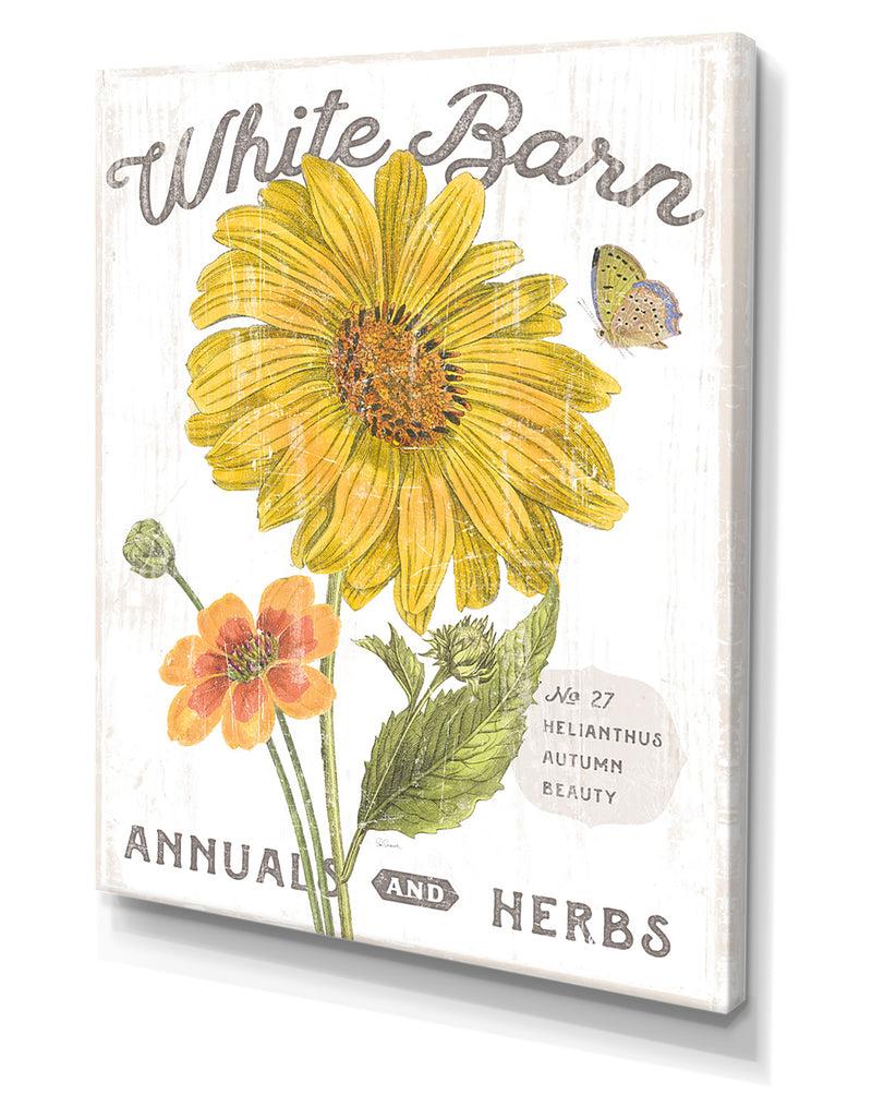 Designq White Barn Flowers I - Cottage Canvas Wall Art