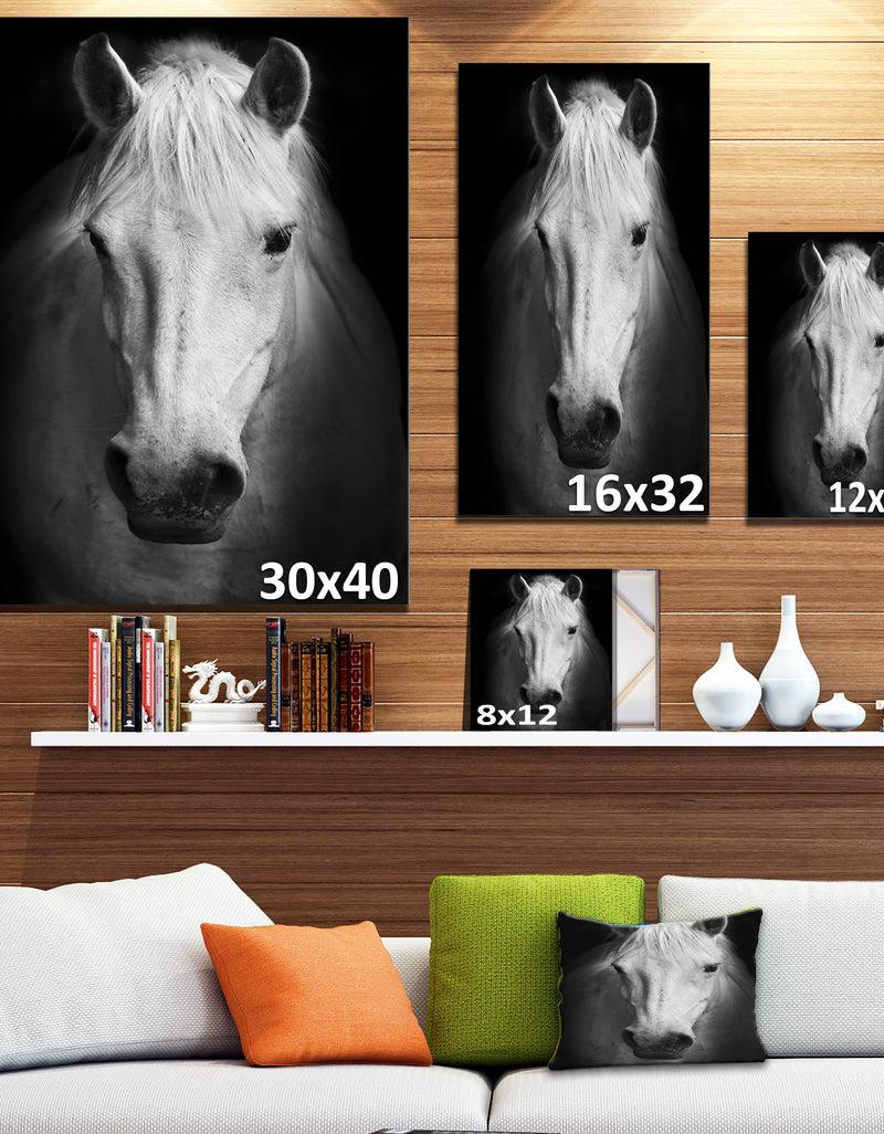 Designq White Horse Black And White - Animal Canvas Art Print