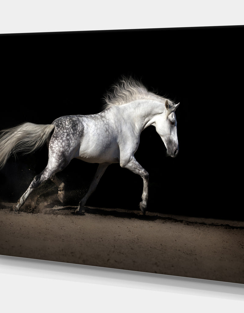 Designq White Horse In Desert Dust - Farmhouse Animals Photographic On Wrapped Canvas