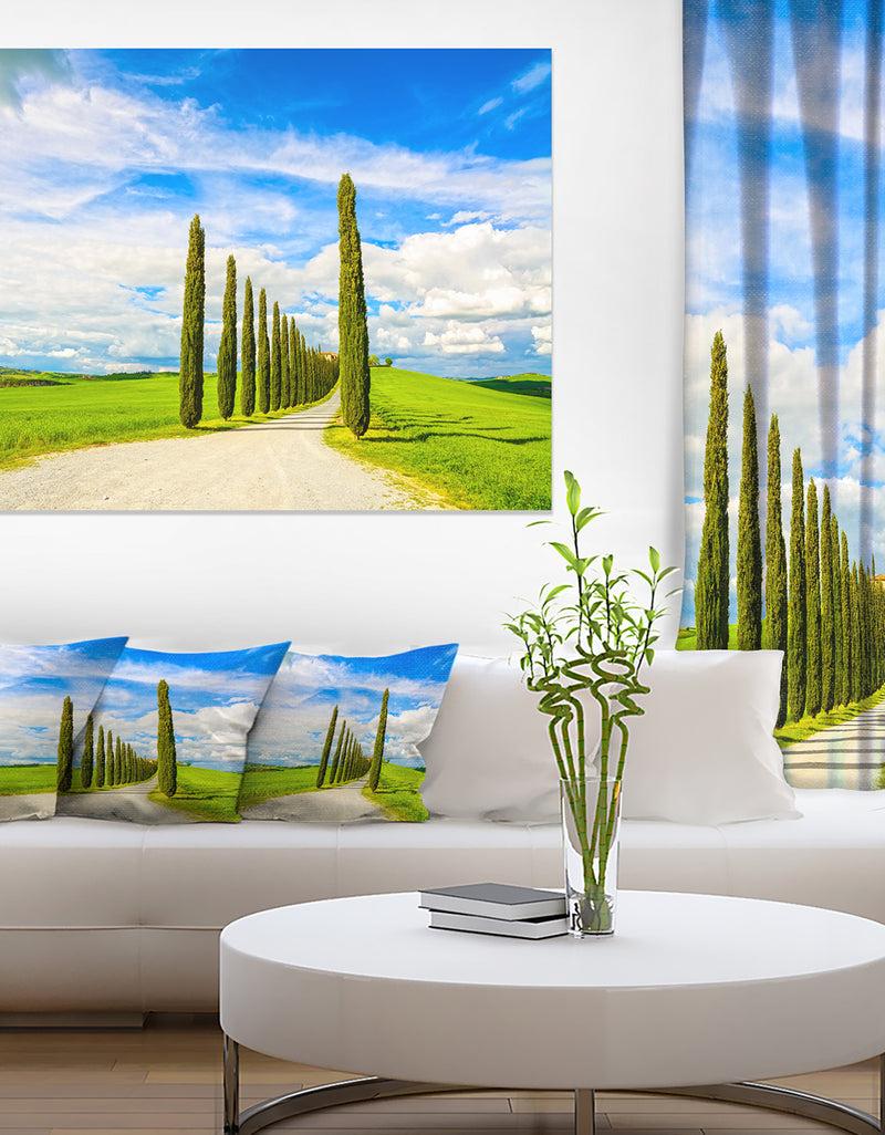 designq White Road through Cypress Trees - Oversized Landscape Wall Art Print