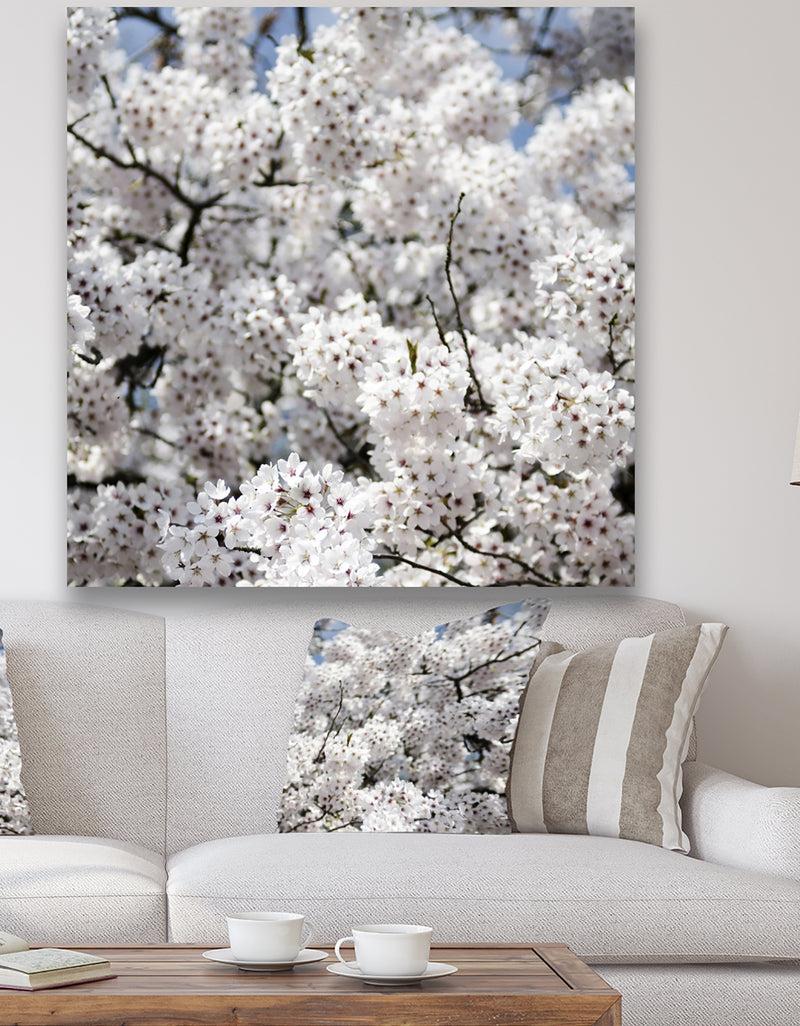 designq White Spring Blossom On Blue Sky - Cottage Canvas Wall Art