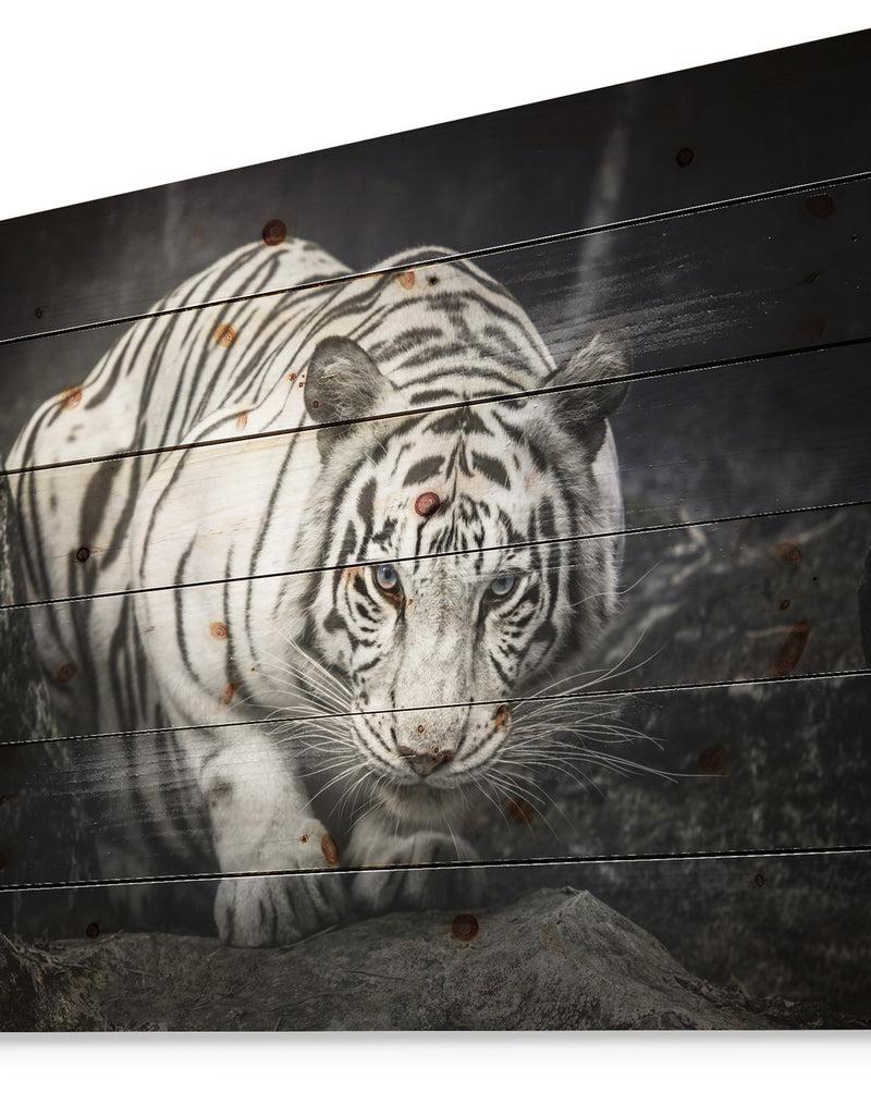 Designq White Tiger - Animal Photography Print On Natural Pine Wood