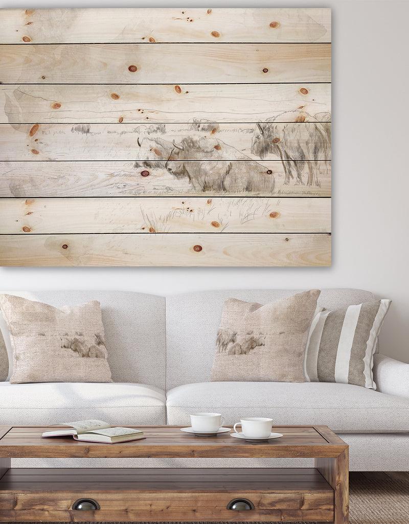 designq Wild Bison Buffalo Sketch - Farmhouse Animal Painting Print on Natural Pine Wood