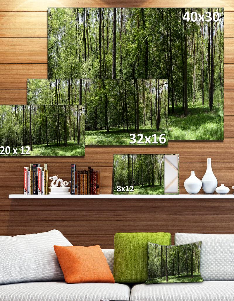 Designq Wild Green Forest Panorama - Oversized Forest Canvas Artwork