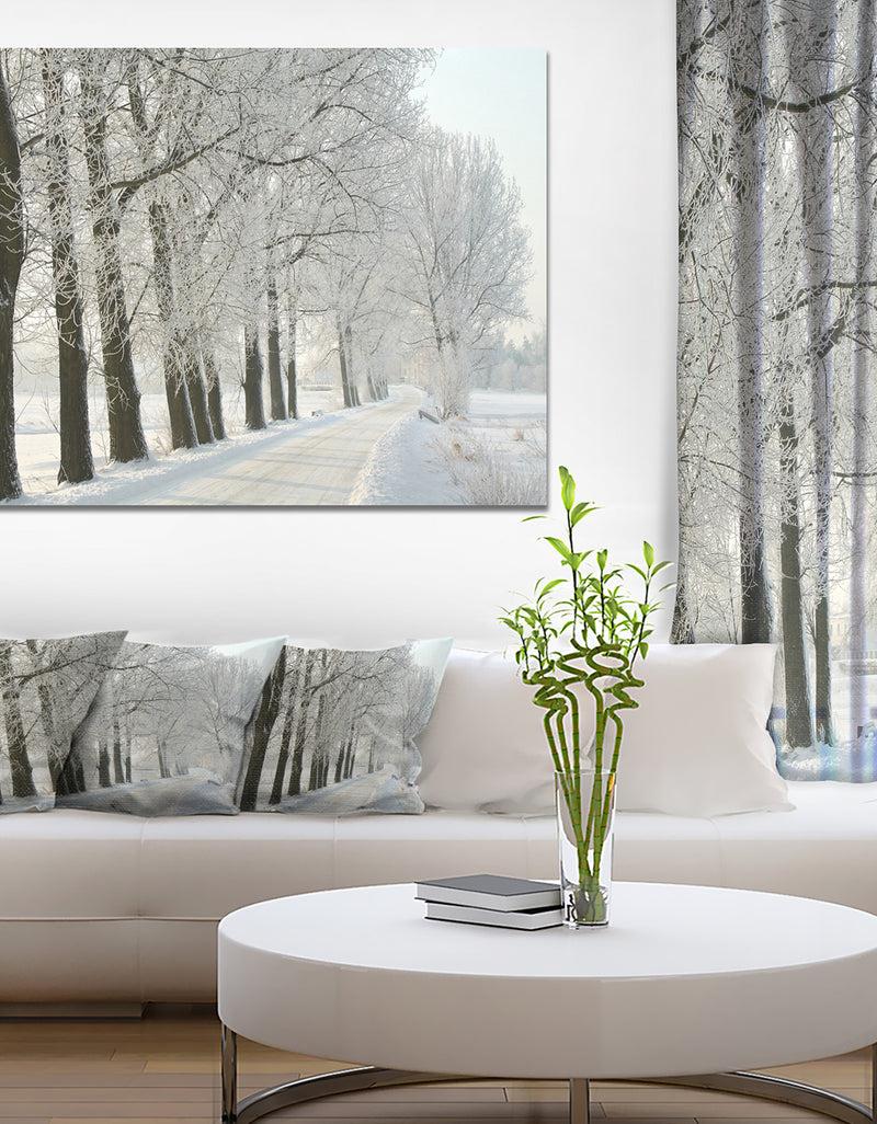 designq Winter Rural Road at Sunrise - Large Forest Artwork Canvas