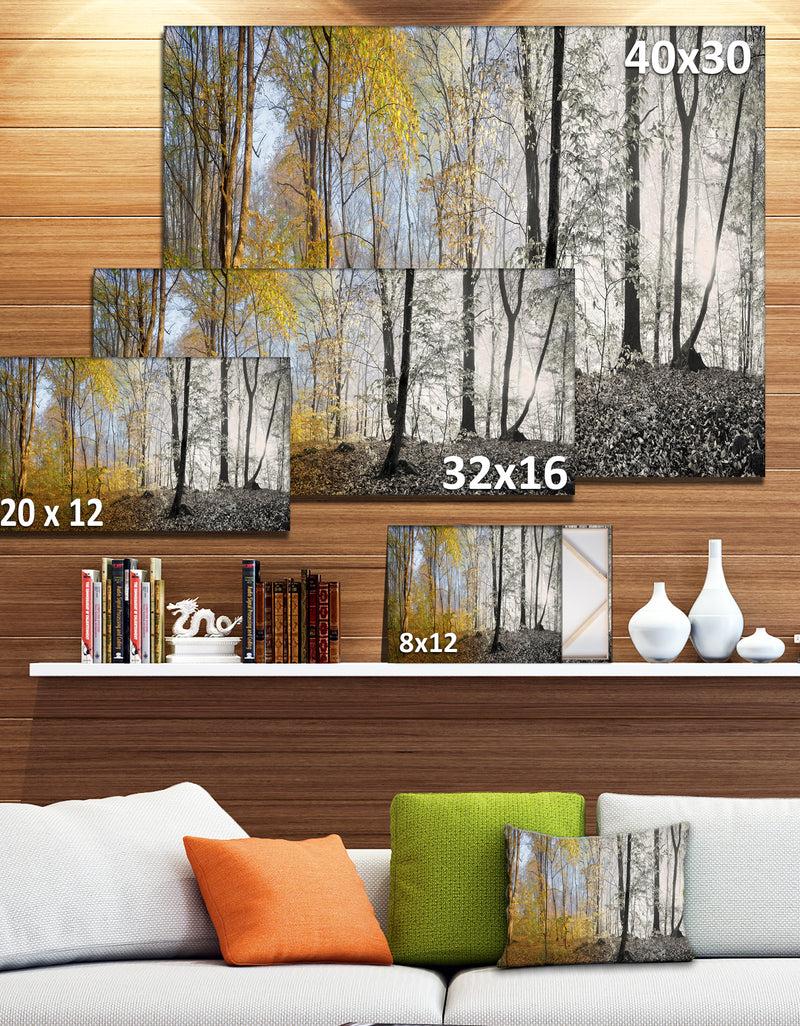 Designq Yellow Morning In Forest Panorama - Landscape Large Canvas Art Print