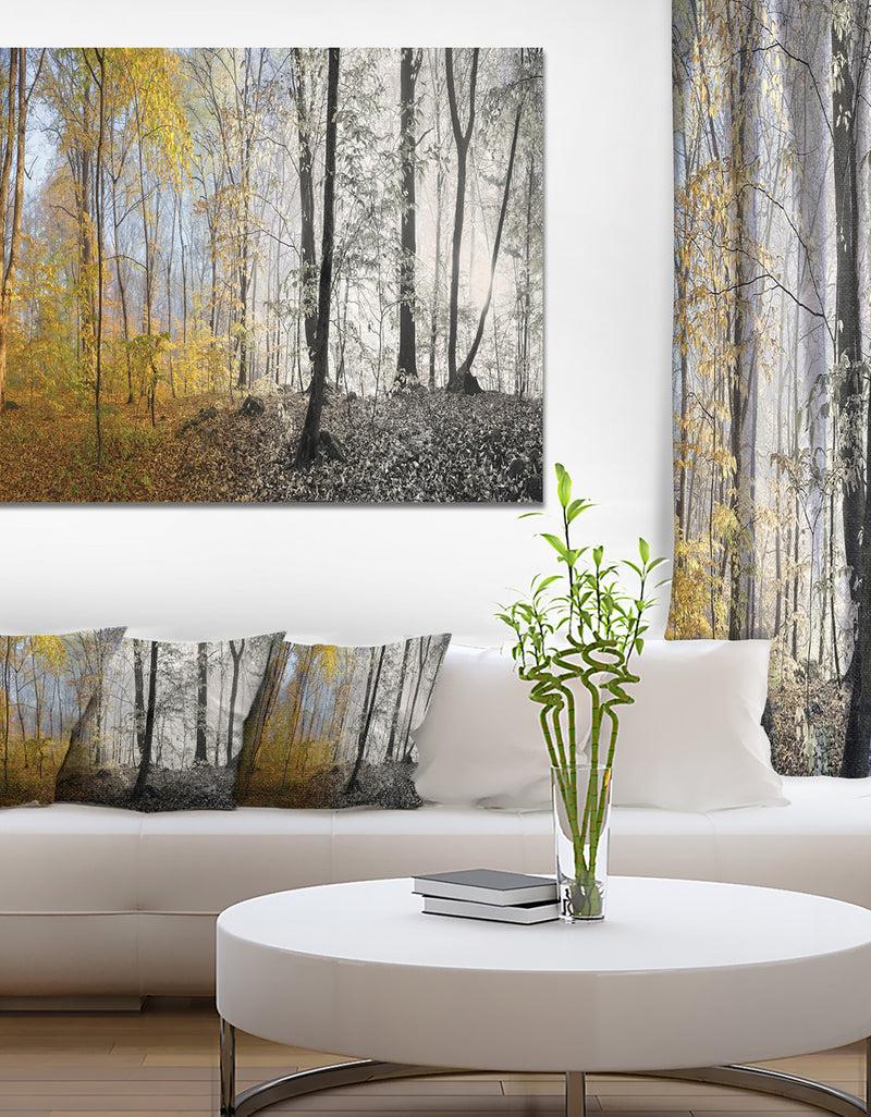 designq Yellow Morning in Forest Panorama - Landscape Large Canvas Art Print