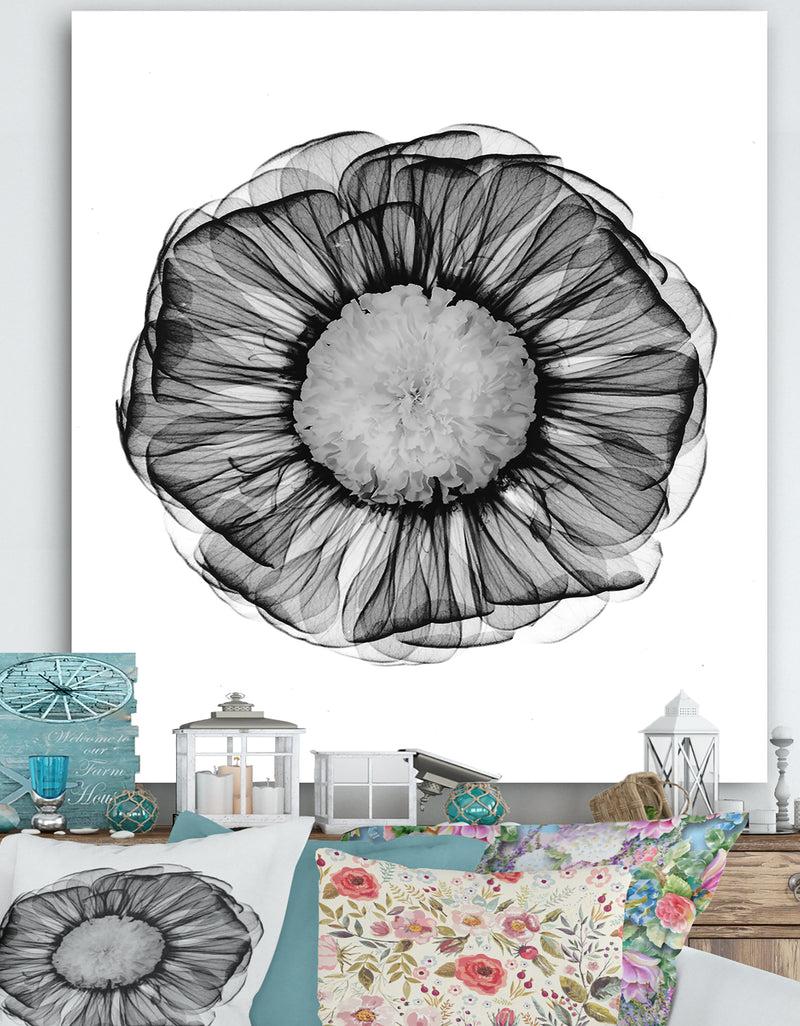 designq Zinnia Montage Black & White X-Ray - Cottage Canvas Art Print