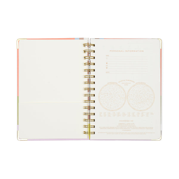 Designworks Ink 13 Mo Perpetual Planner - Geo Checks