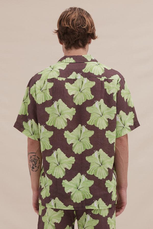 Desmond & Dempsey Grand Hibiscus Cocoa/Lime