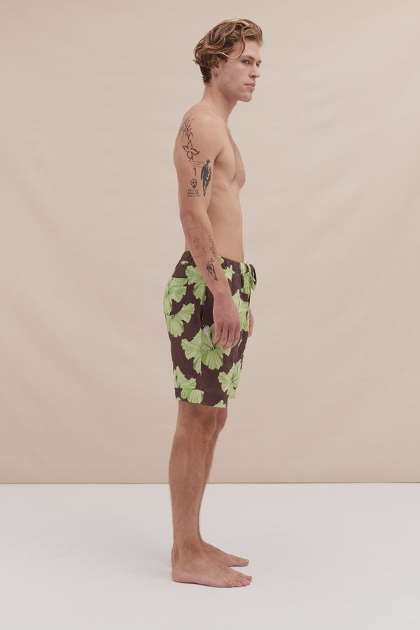 Desmond & Dempsey Grand Hibiscus Cocoa/Lime