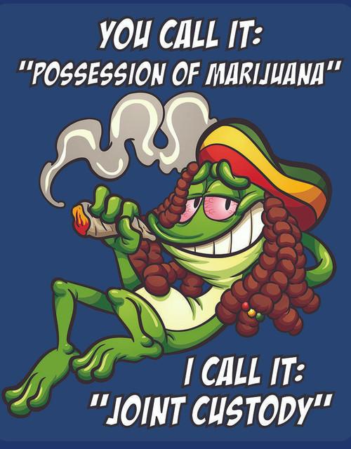 desperate enterprises Joint Custody