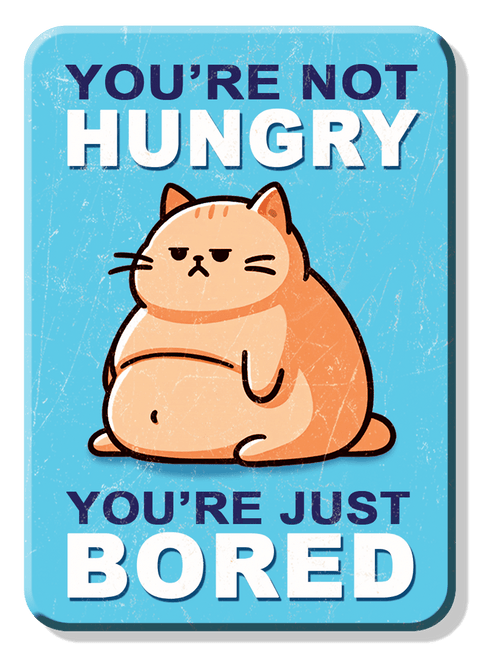 desperate enterprises Magnet: Bored Cat