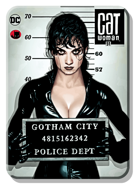 desperate enterprises Magnet: Catwoman-Mugshot