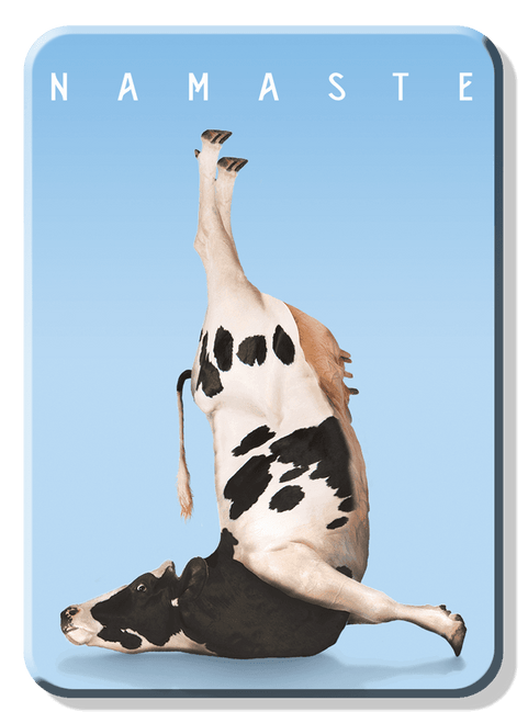 desperate enterprises MAGNET: Namaste