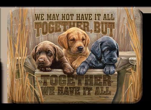 desperate enterprises Magnet: We Have It All