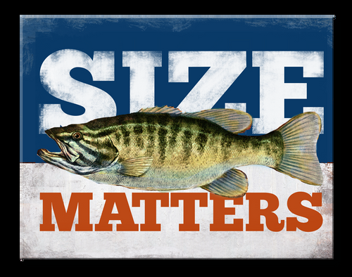 desperate enterprises Size Matters Fish