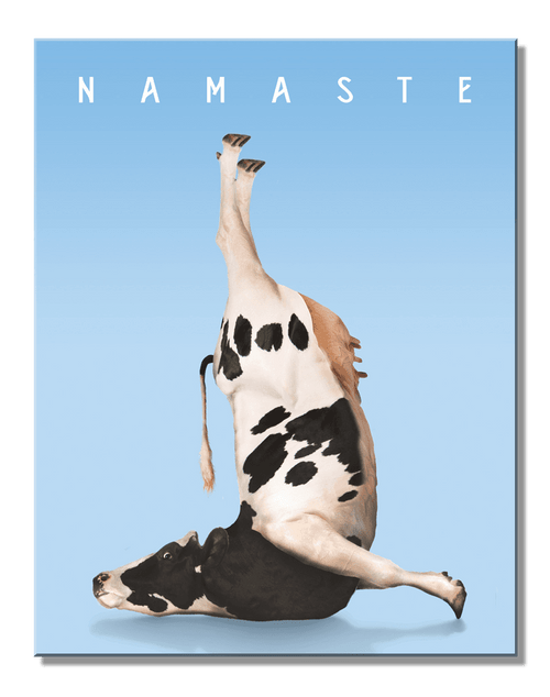 desperate enterprises YOGA COW
