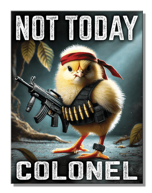 desperate enterprises SH - Not Today Colonel 8.25" x 10.75"