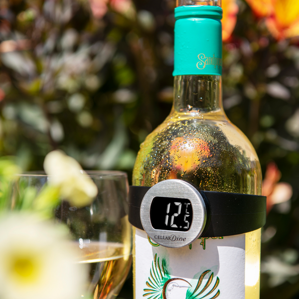 Dexam CellarDine Wine Thermometer Bracelet Format