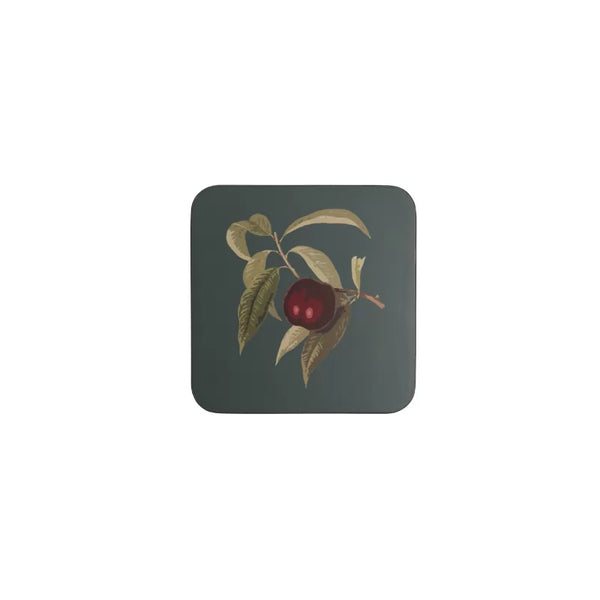 Dexam RHS Hooker Fruit Set Of 4 Coasters - Blue