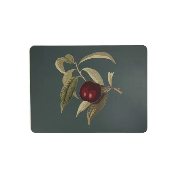 Dexam RHS Hooker Fruit Set Of 4 Placemats - Blue