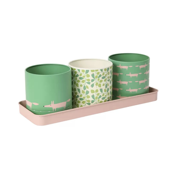 dexam Scion Mr Fox Set of 3 Herb Pots
