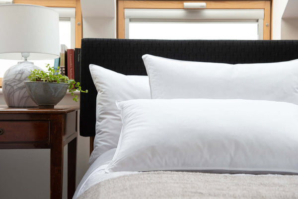 deyongs Duck Feather & Down Pillow - Medium