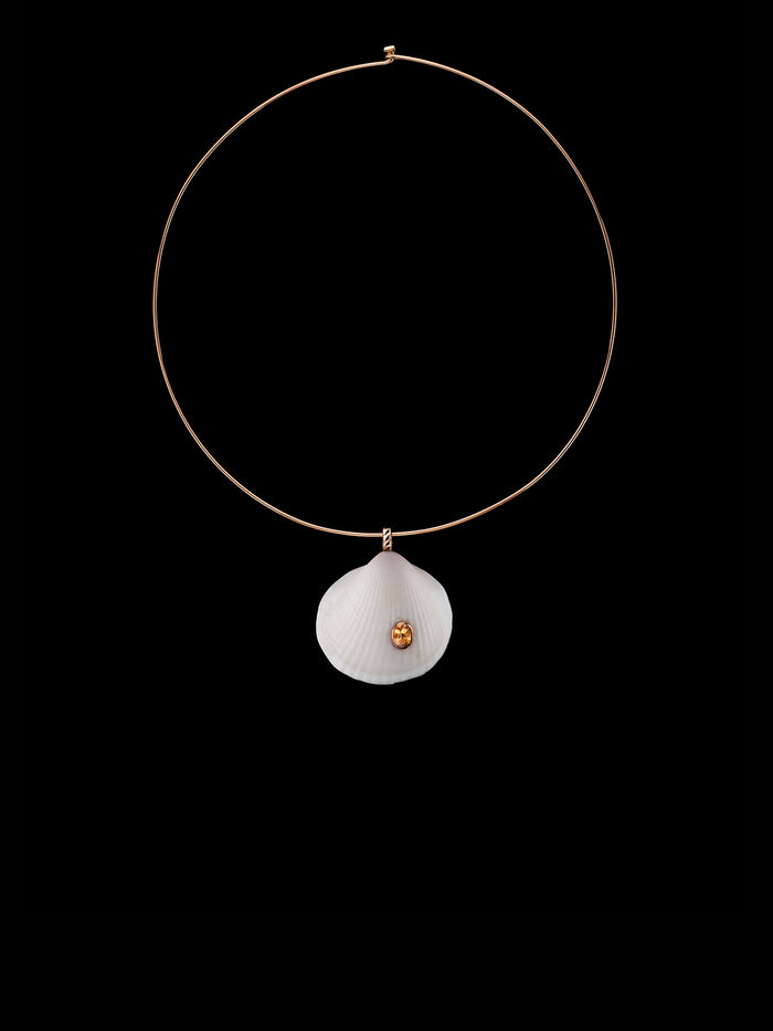 Dezso By Sara Beltran Anadara Shell With Scappolite