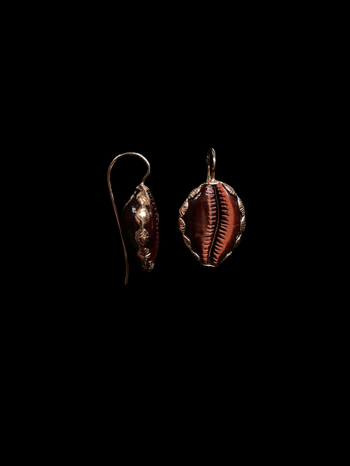 Dezso By Sara Beltran Classic Carved Cowry Anadara Set Earring