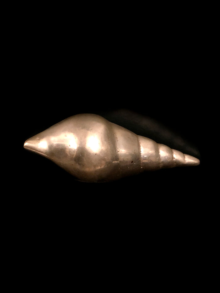 Dezso By Sara Beltran Brass Shell Sculpture