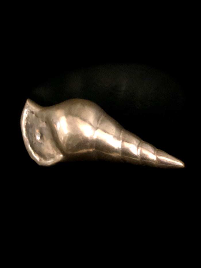 dezso by sara beltran Brass Shell Sculpture