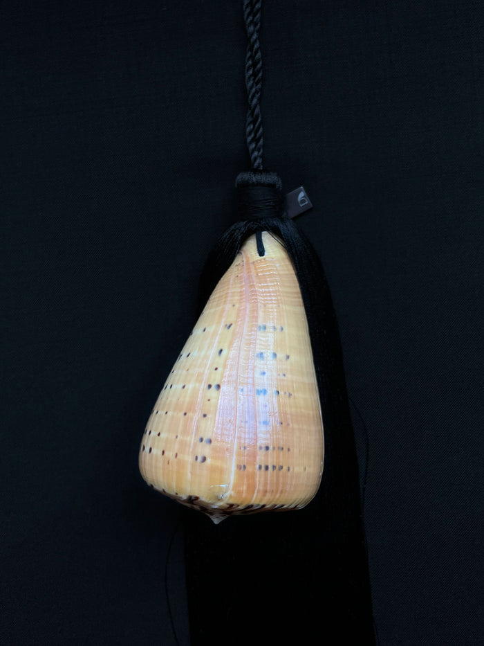 Dezso By Sara Beltran Champagne Conus Tassel