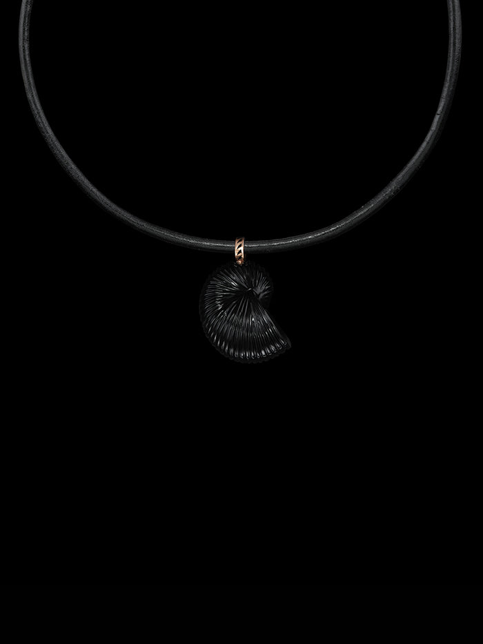 dezso by sara beltran Classic Nautilus