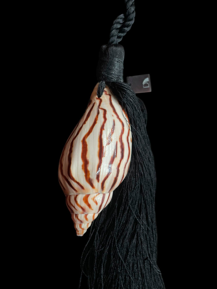 Dezso By Sara Beltran Flaming Shell Tassel