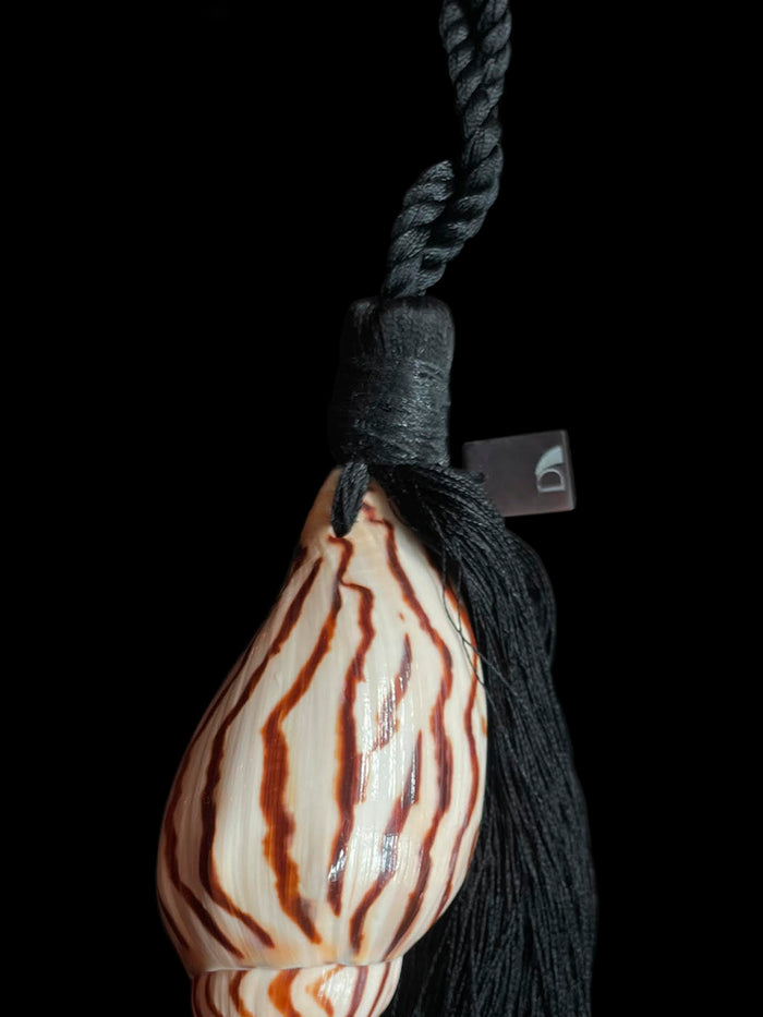 Dezso By Sara Beltran Flaming Shell Tassel