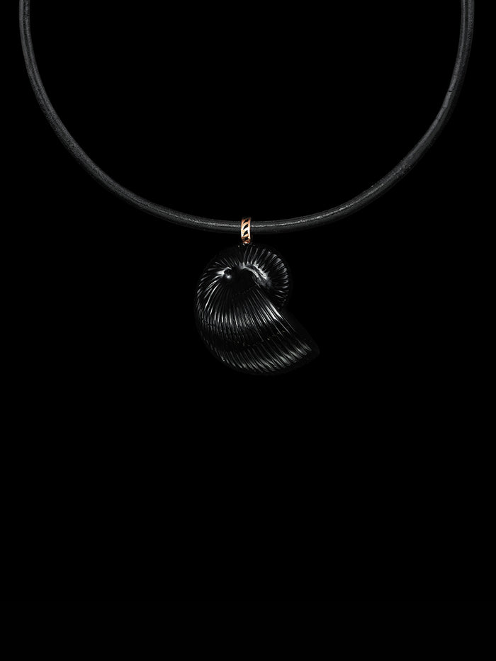 dezso by sara beltran Grande Nautilus