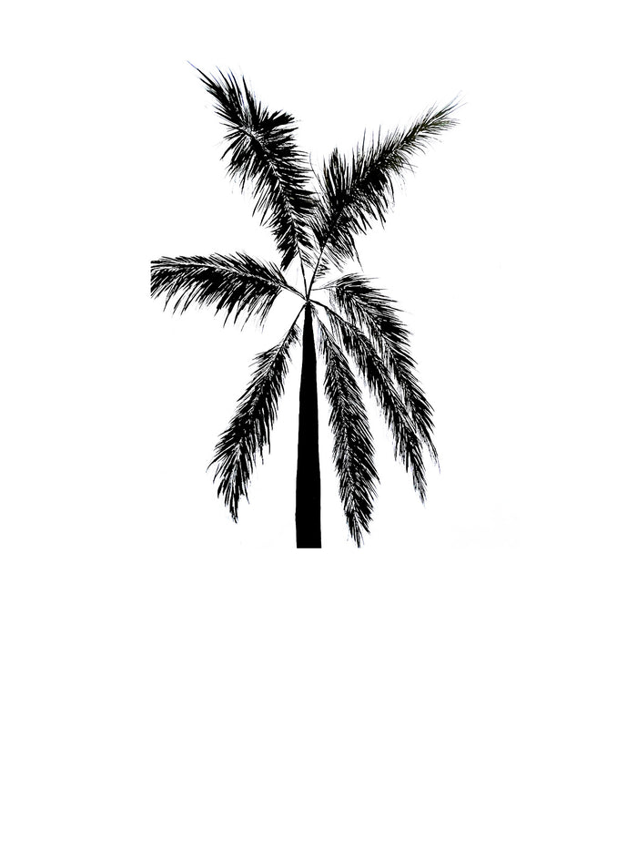 Dezso By Sara Beltran Habibi Palmera