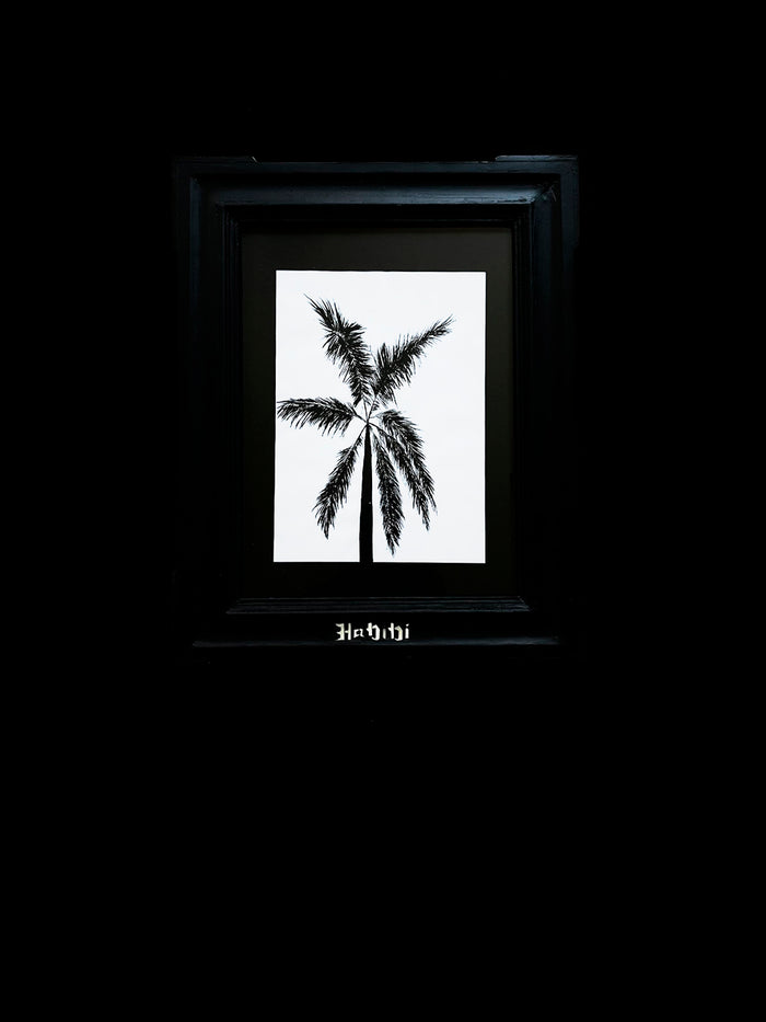 dezso by sara beltran Habibi Palmera