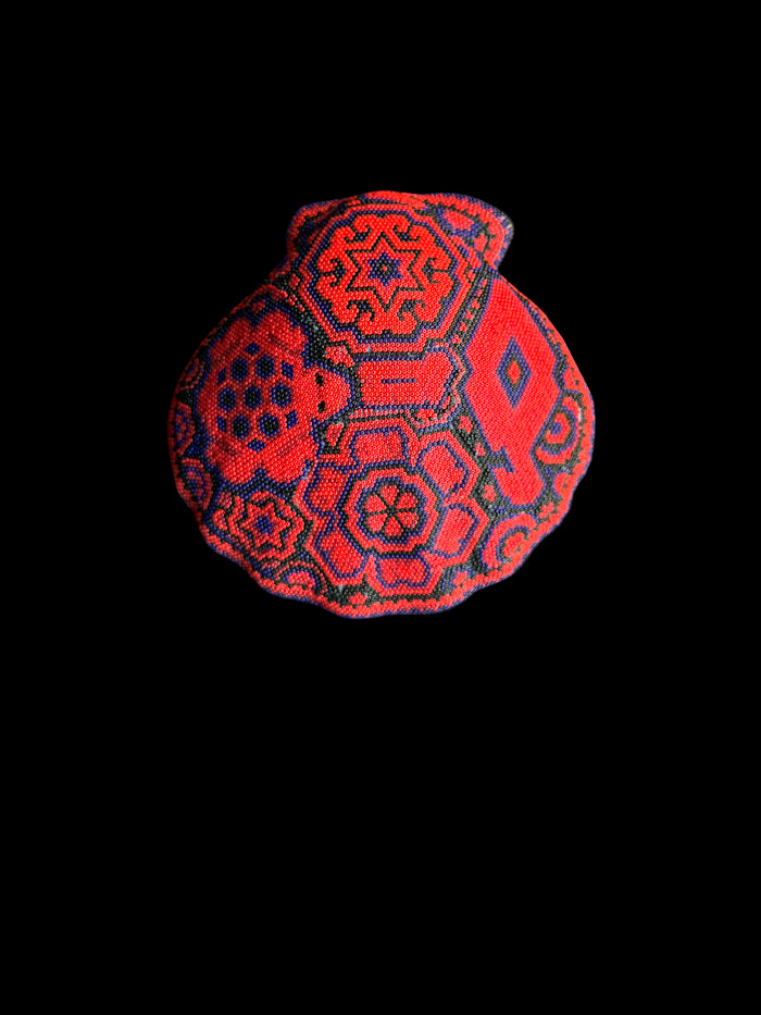 dezso by sara beltran Huichol Concha