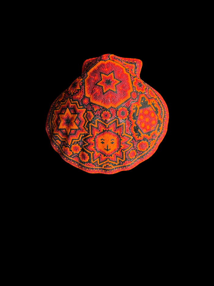 dezso by sara beltran Huichol Concha