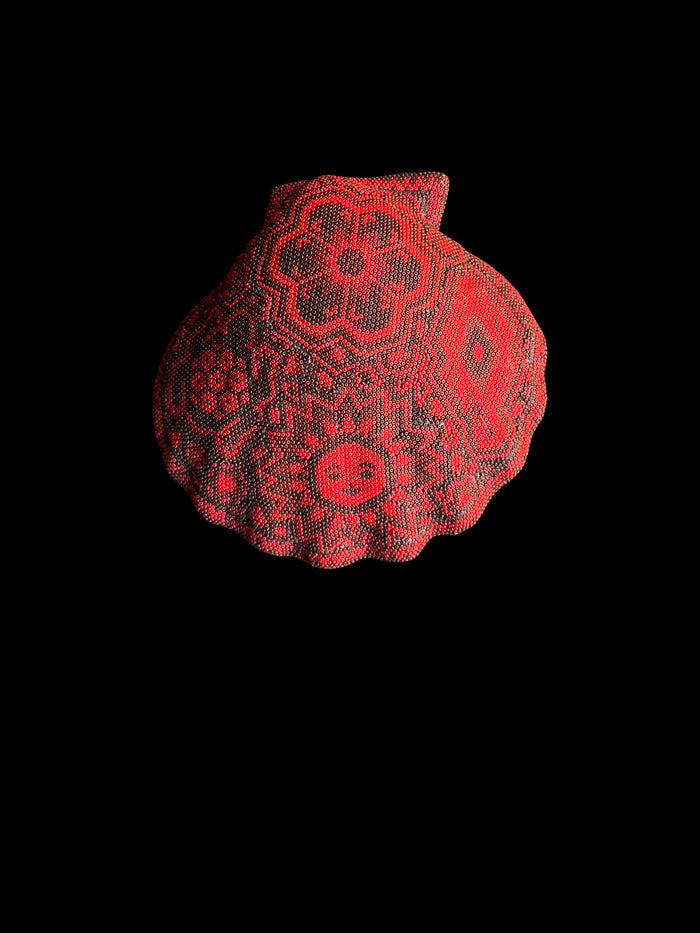 dezso by sara beltran Huichol Concha