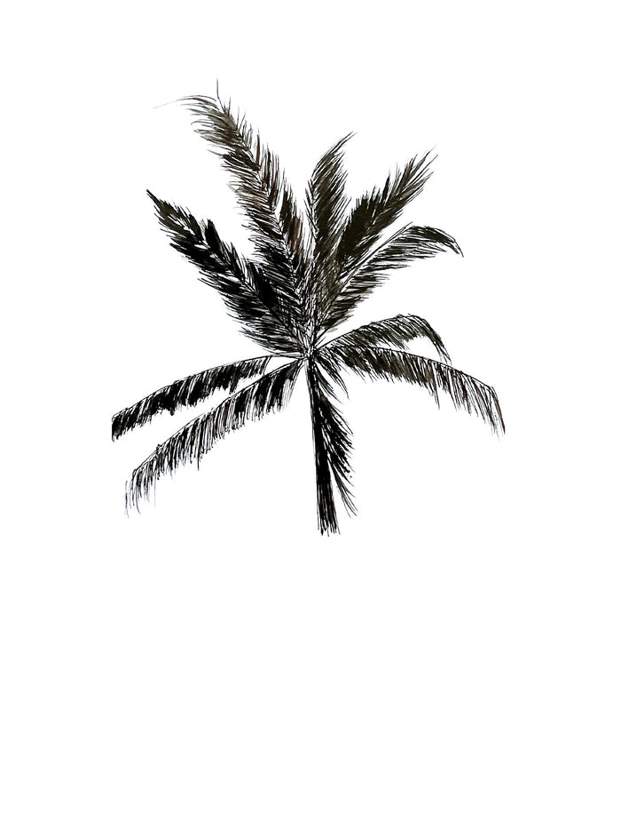 Dezso By Sara Beltran India Framed Drawing