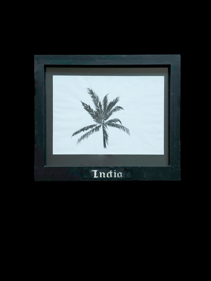 dezso by sara beltran India Framed Drawing