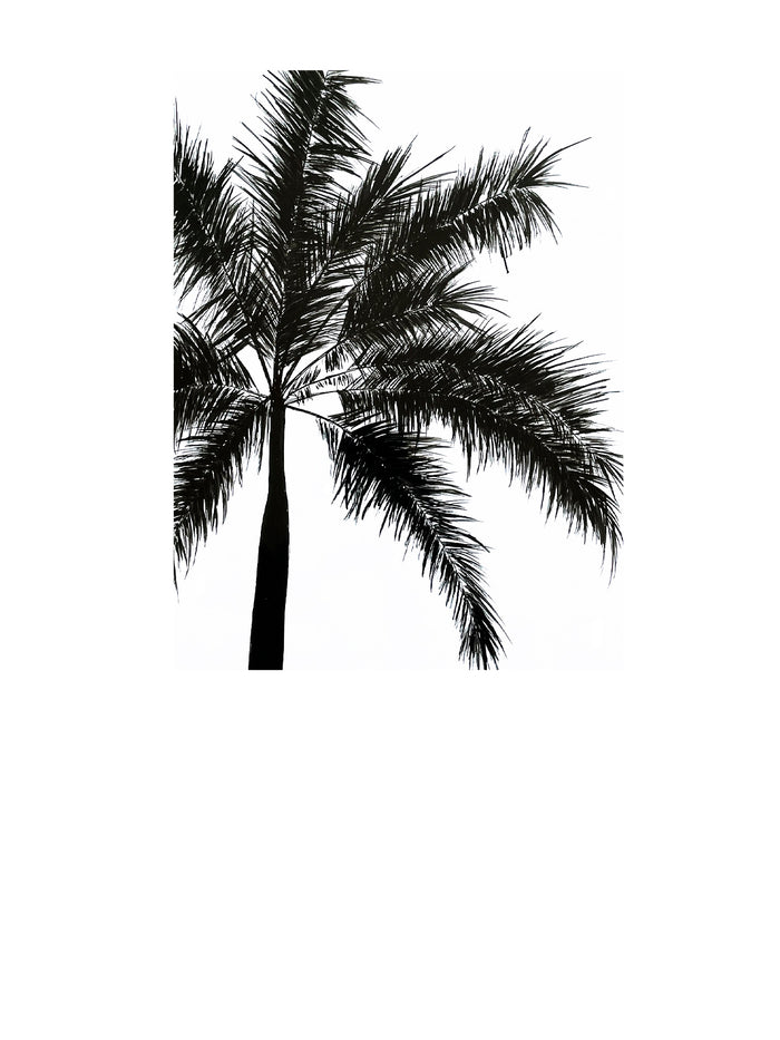 Dezso By Sara Beltran Maharaja Palmera