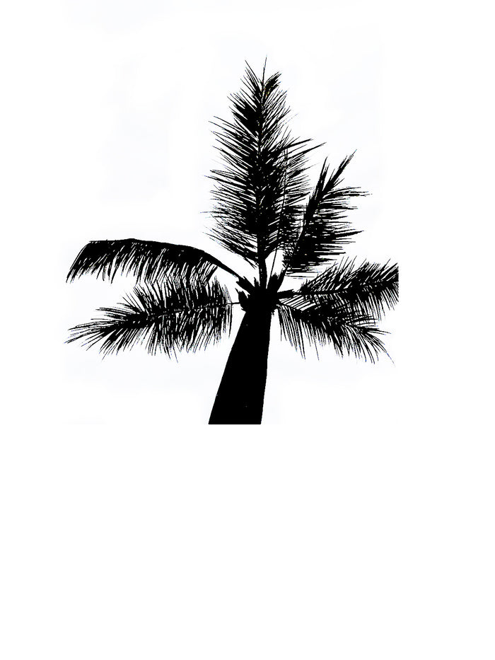 Dezso By Sara Beltran Marquise Palmera