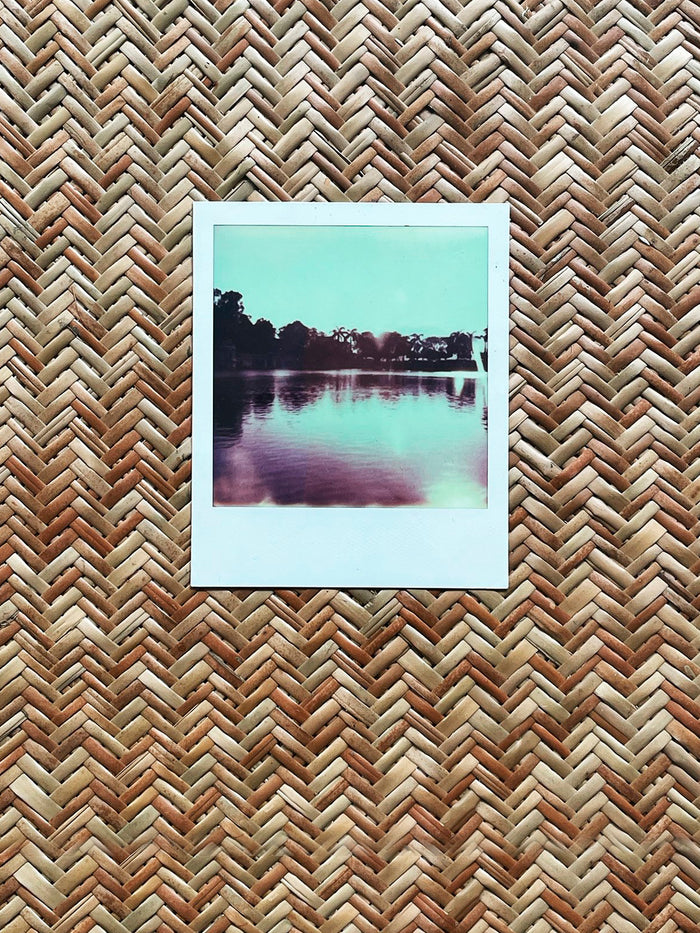 Dezso By Sara Beltran Outsider Palmeras 1